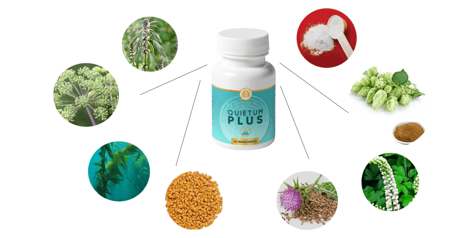 Quietum Plus Supplement Facts